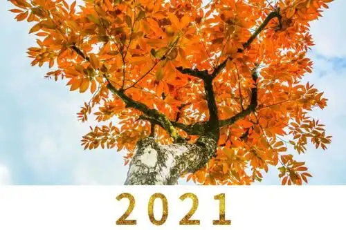 你好2021新年第一份礼物已为您备好点击开启