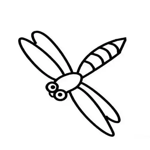 蜻蜓简笔画 蜻蜓简笔画简单又漂亮