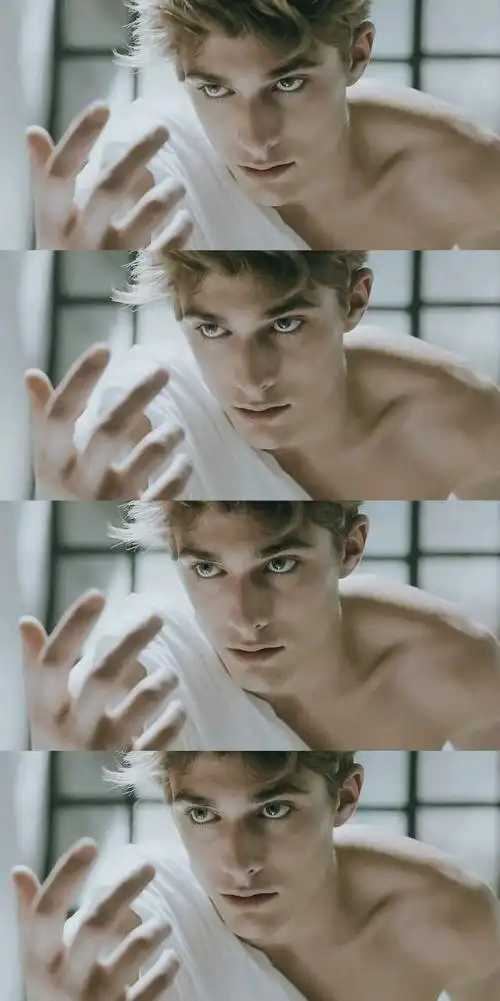 maxencedanetfauvel法版e神法兰西最适合演吸血鬼的男人