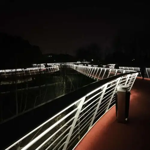 绿道夜景好美啊!