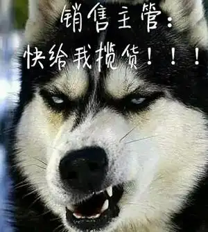 图解:货代人的日常