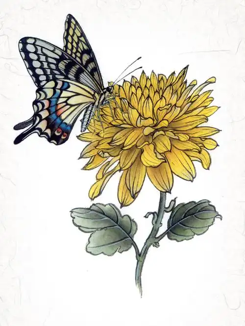 超详细的步骤教你画工笔蝉与写意蝉