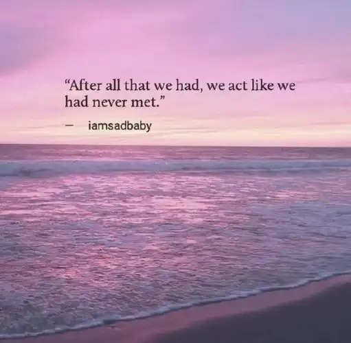 英文唯美简短文字图片