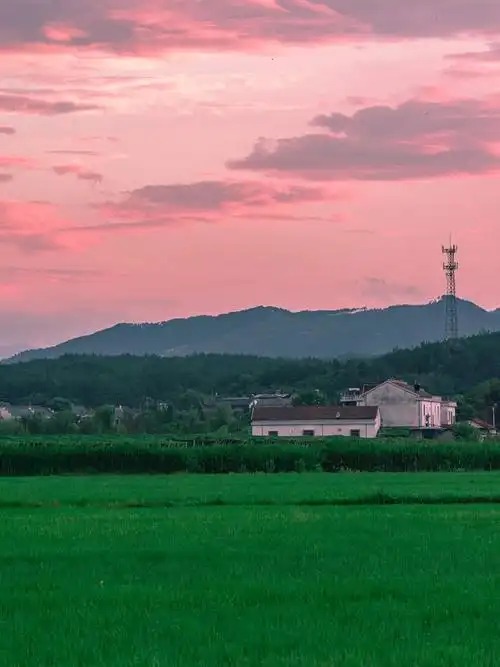 傍晚农村田野晚霞虫鸣蛙叫