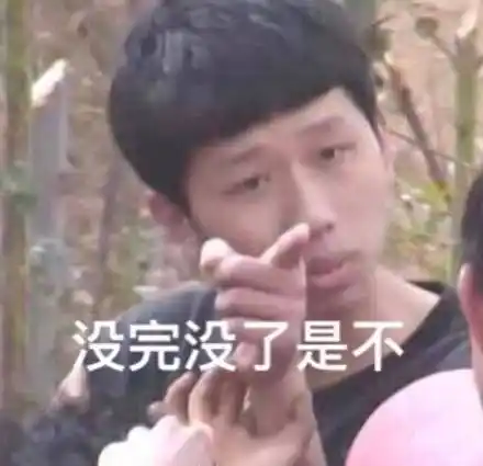 没完没了是不(王境泽指人表情包)_指人_王境_没完没了表情