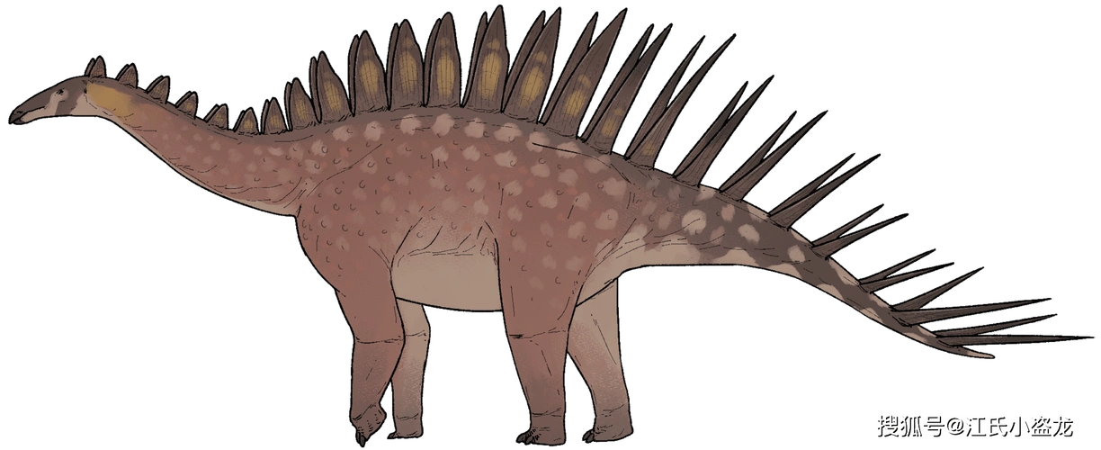 背上长刺的恐龙用尾巴抽死天敌!