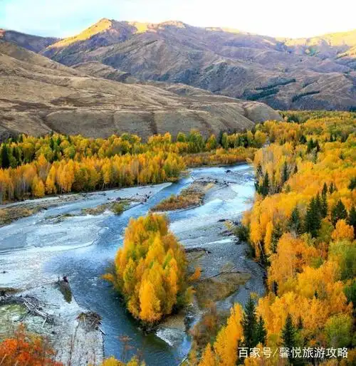 新疆这20个地方美了四季你去过几个