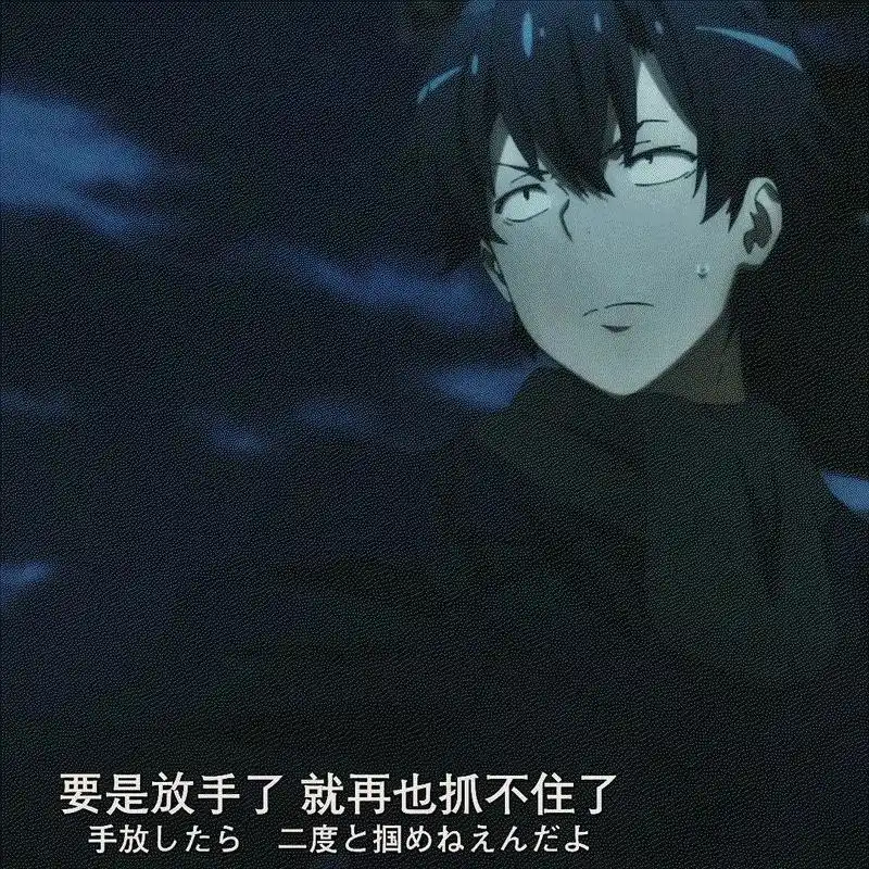 要是放手了 就再也抓不住了 #动漫 #二次元 #fvv泽 # - 抖音