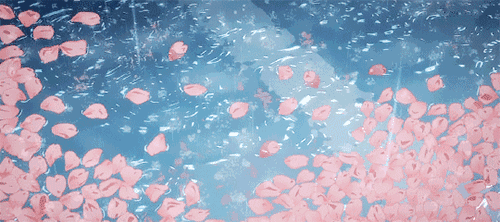 动态- 堆糖,美图壁纸兴趣社区