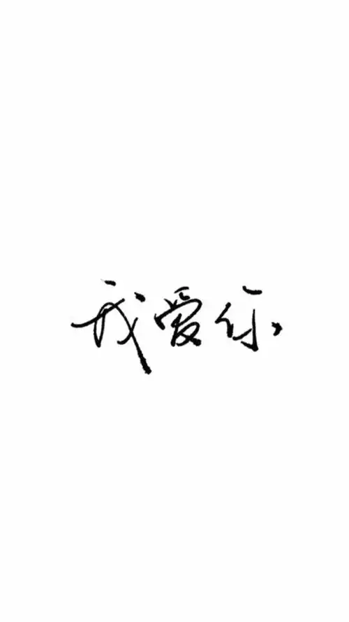 简约黑白文字壁纸我爱你