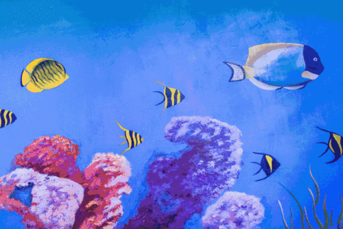 640_427gif 动态图 动图