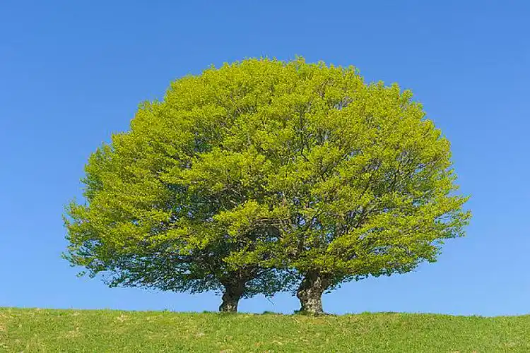 两个图片_两个图片素材_两个图片大全_两个高清图片_全景视觉