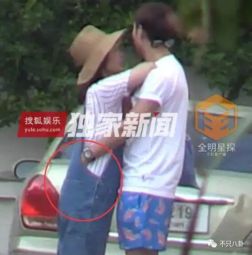 再理性讨论:从张爱朋手的形态能判断出他当时正在做着什么动作吗?