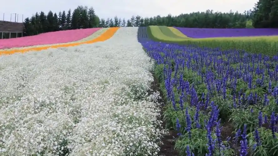 完全可以当屏保来用 发布于 23 小时前 · 49 次播放风景电脑壁纸不一