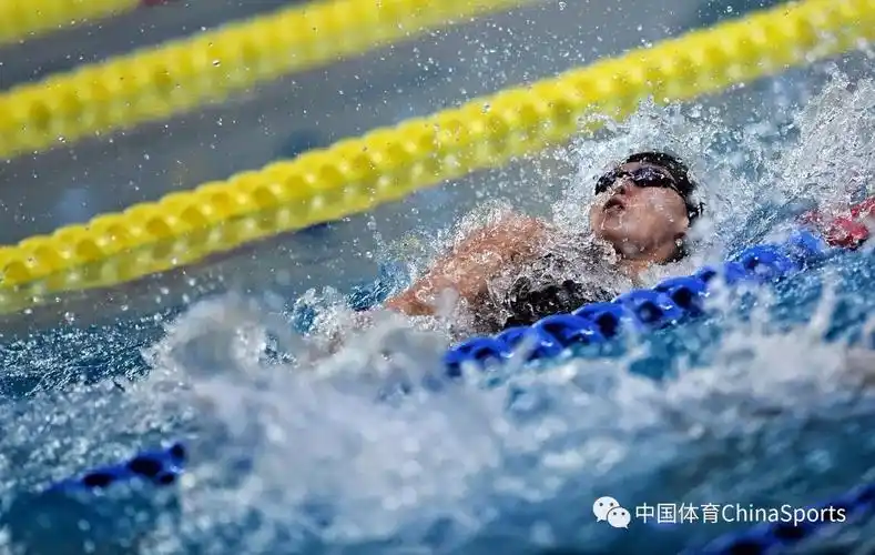 全国游泳冠军赛 众名将状态火热