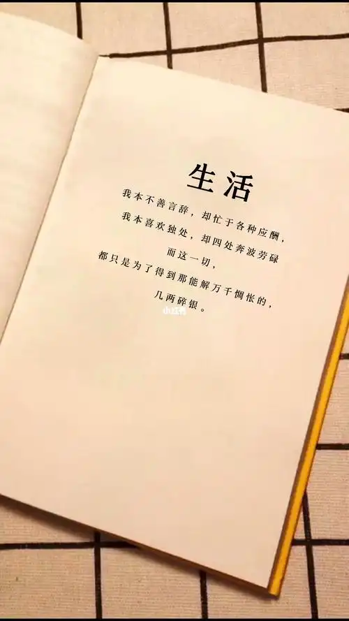 那就这样吧