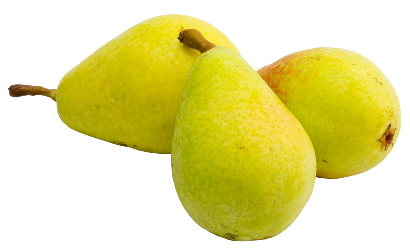 水果 植物图片大全_水果 植物图片素材【png免费下载】-90设计网