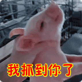 我抓到你了表情包