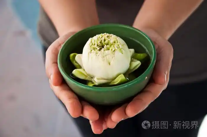 两只手捧一杯白色的莲花