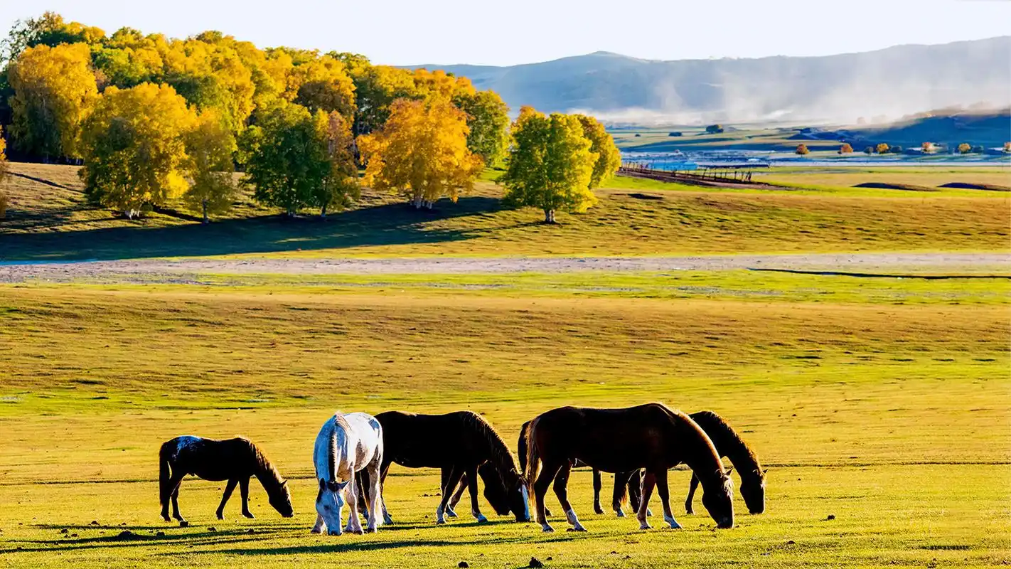 乌兰布统草原自然风光高清图片桌面壁纸
