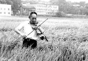 25张图了解袁隆平的另一面