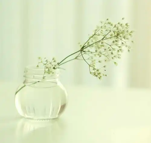 静物图片空间图片唯美图片意境小清新图片