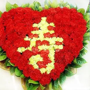 浦北县祝福乃馨 祝寿鲜花全国配送金华缙云丽水杭州北京南京配送