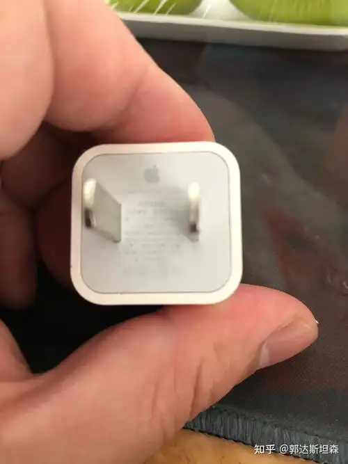 真假苹果祖传5v1a充电器大赏