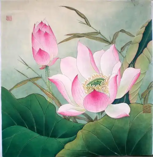 [分享]爱莲说——工笔画_闲龙门阵_三台论坛_三台在线