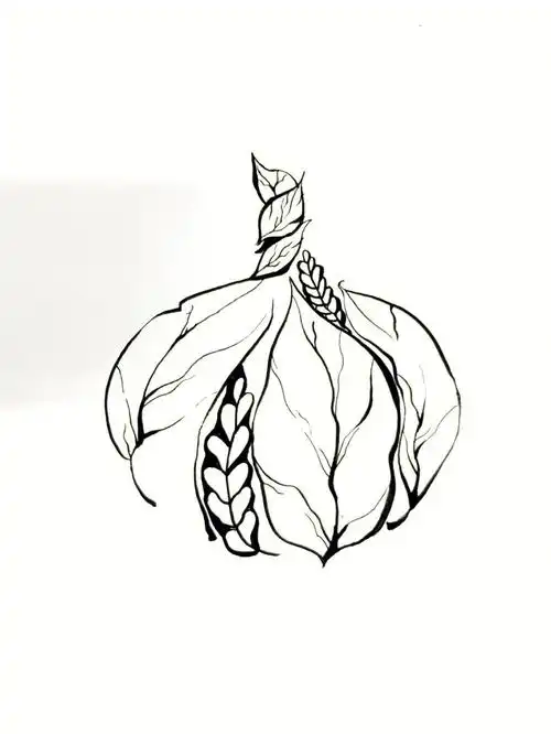 构成三要素之线,面构成以大蒜00为基本型秀丽笔 针管笔绘制_#大蒜