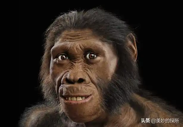 黄种人,黑人,白人为什么可以自由交配,没有产生生殖隔离?