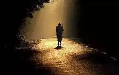 我只从他孤独落魄的背影里,看到了迷茫;也从他坚定急速行走的脚步中