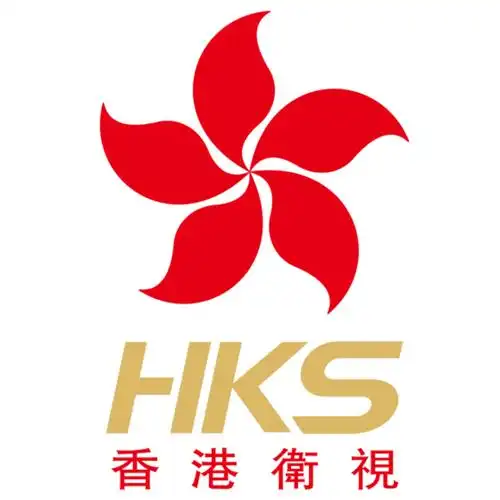 香港卫视(山东)国际书画院