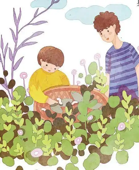 蚕豆花儿童简笔画