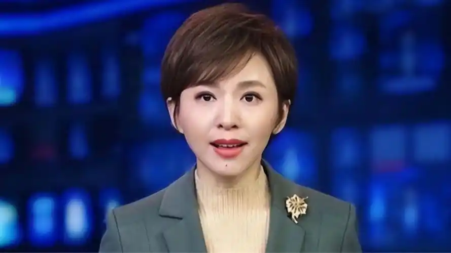 《新闻联播》主持人退出央视后显落寞,欧阳夏丹独逛菜市场无人识