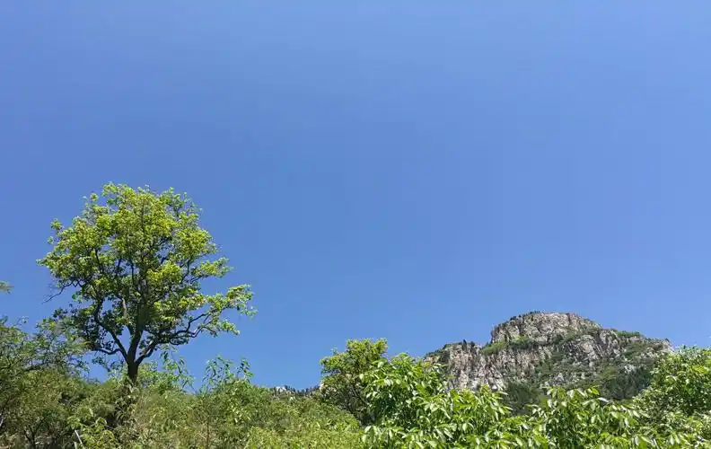 村后背靠大山,奇峰名曰:二磨起.