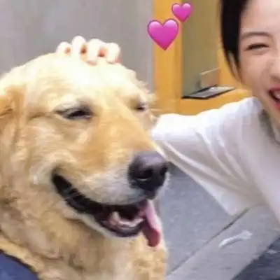 情侣头像高质量独一无二高清独一无二的头像小众情侣图片