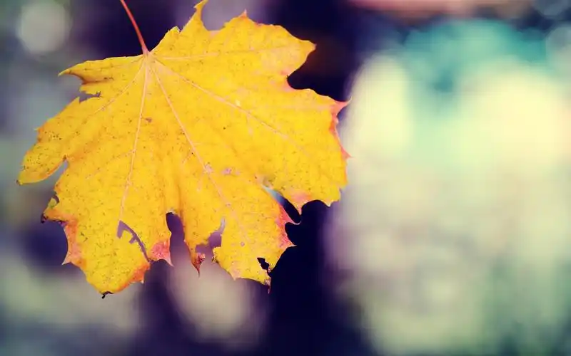 万丰注册_网易新闻