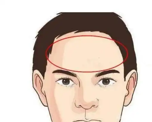 在面相学中,额头占据着人的第一位,代表着天堂,支配着整个人体,是观察