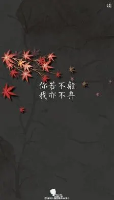 你若不离,我亦不弃