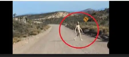 美国51区外星人真相揭晓图