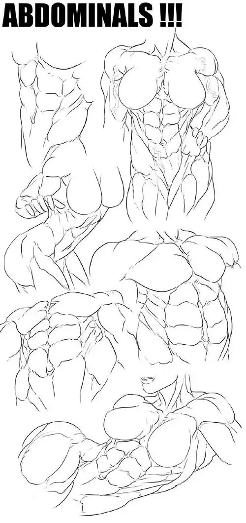 腹部肌肉的画法#绘画参考##人体参考