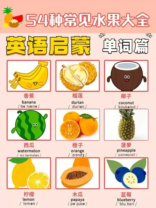 英语单词篇54种水果英文名称一次性73get