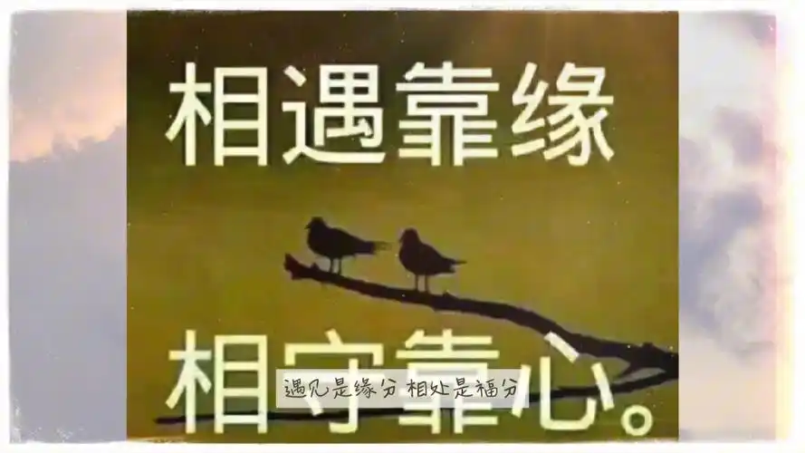 人生若只如初见,何其美丽;人生若只如初遇,何其美好.