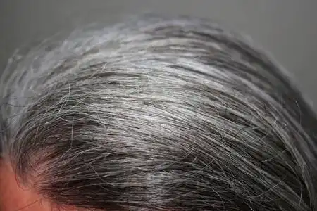 白色背景成年的白发男子成年的白发男子自信和成功的老白发男子手上的