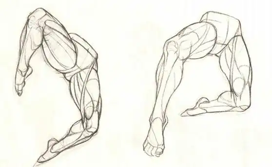 绘画过程中腿部肌肉的该怎么绘制练习?