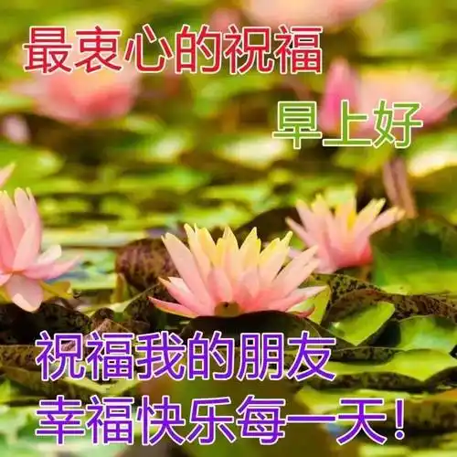 8张最美夏天风景早上好图片带字带祝福语 好看的夏日风景早安问候祝福