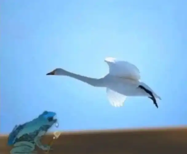 薛氏凝视表情包 - 表情图