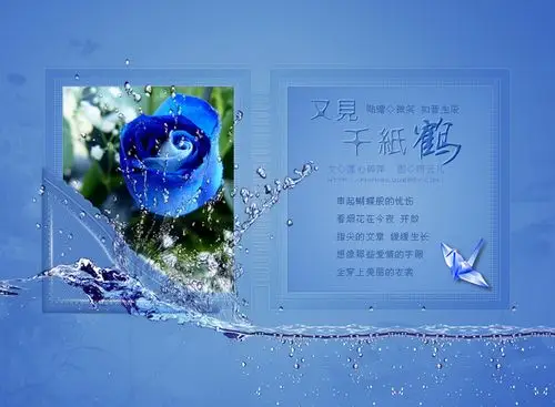 【雨云儿图文】又见千纸鹤