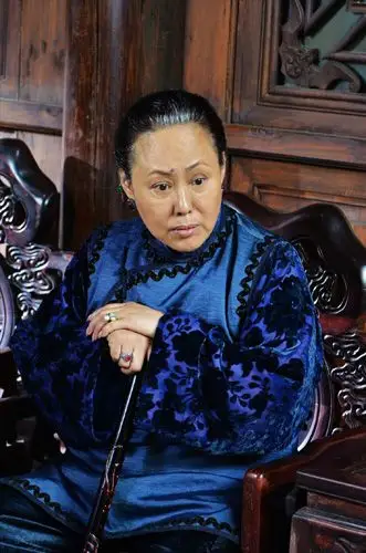 资料:《肉中刺》人物小传-斯琴高娃饰牛老太太